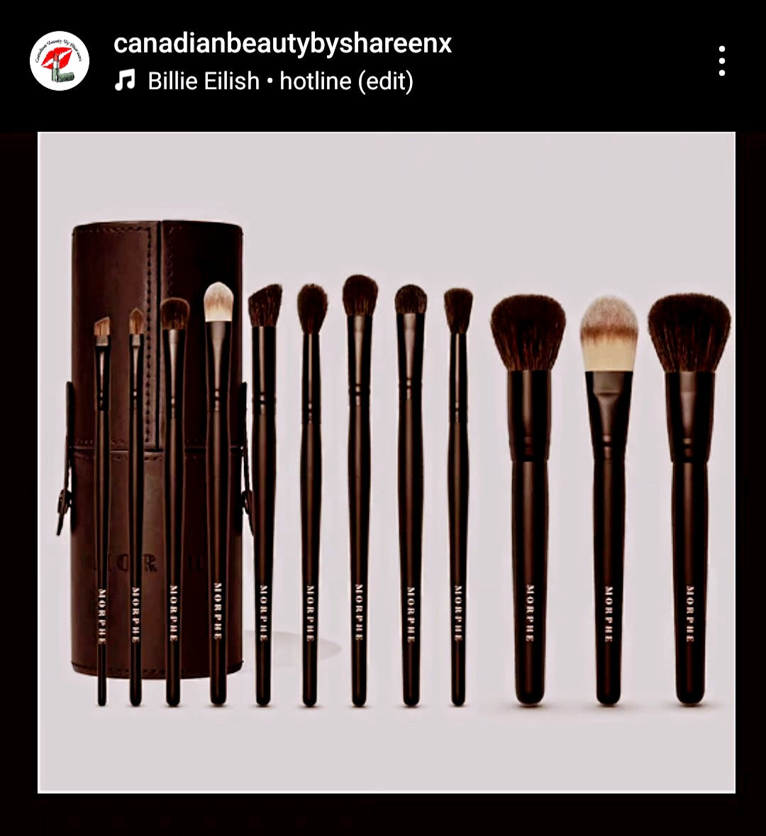 makeup brushes by morphe